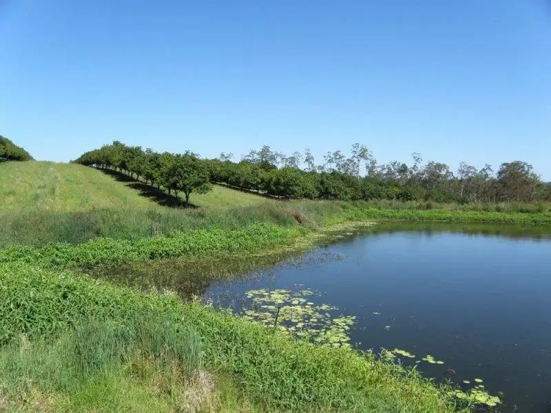 Main view of Homely rural property listing, 1172 Bulmers Rd, Hogarth Range NSW 2469