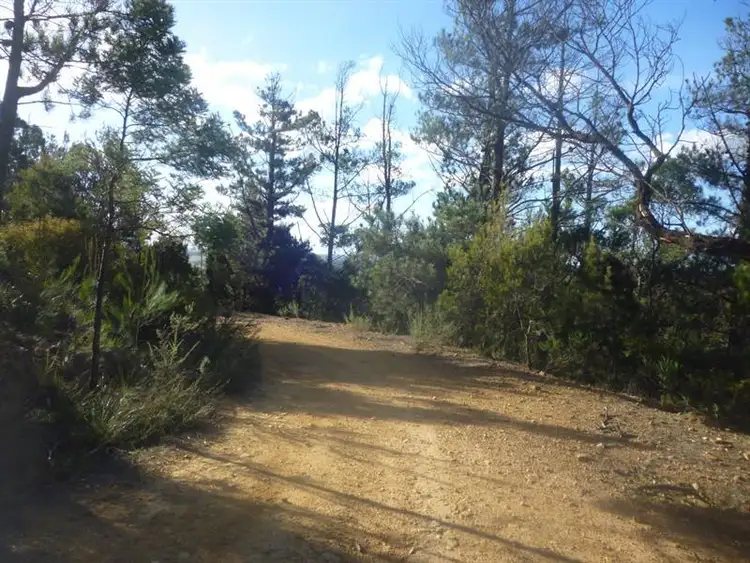 Seventh view of Homely rural property listing, Portion 84 Braidwood Rd, Tomboye NSW 2622