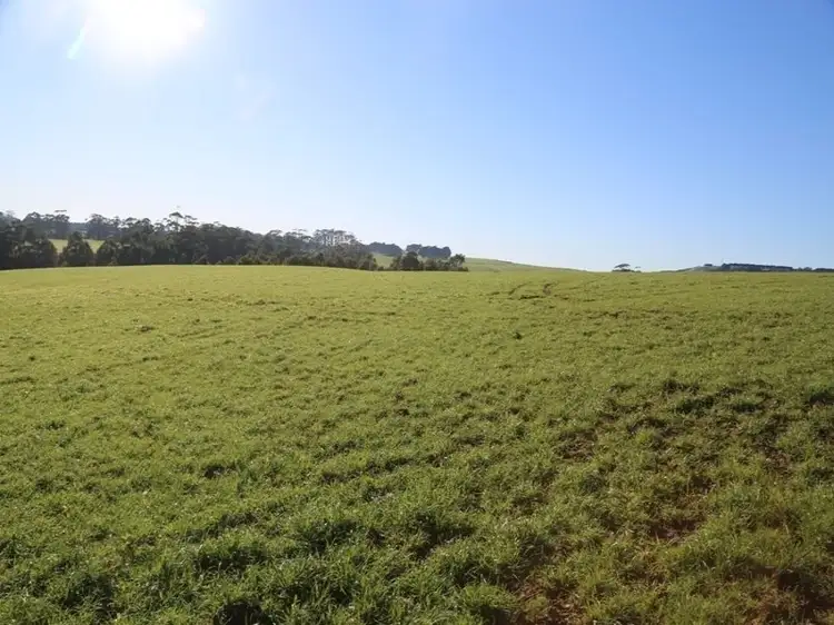 Main view of Homely rural property listing, 00 Trowutta Road, Scotchtown TAS 7330
