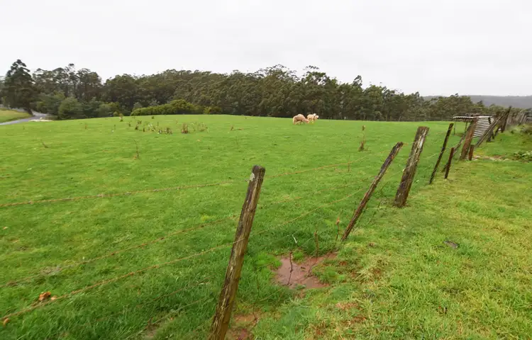 Fourth view of Homely rural property listing, 311 Minna Road, Stowport TAS 7321