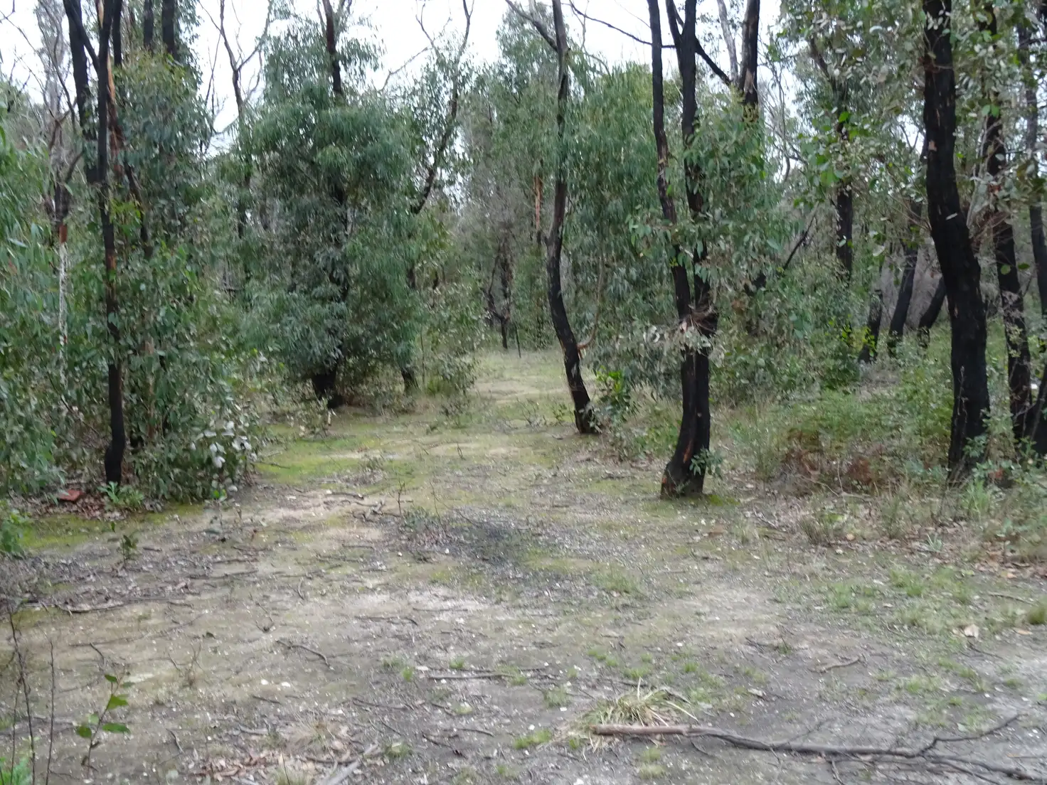 Main view of Homely land listing, LOT 64 Grevillea Road, Dereel VIC 3352