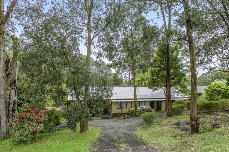 Main view of Homely house listing, 273 Kinglake-Glenburn Road, Kinglake VIC 3763