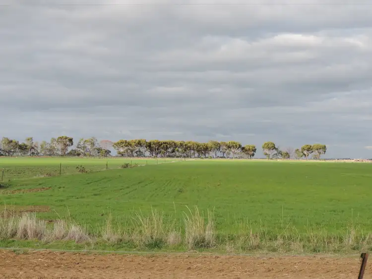 Fourth view of Homely rural property listing, 109 Pleasance Road, Tragowel VIC 3579
