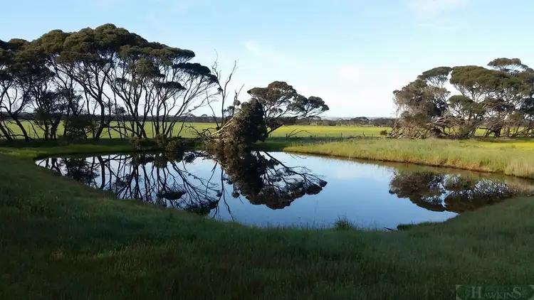 Second view of Homely rural property listing, 301 Gum Creek Road, Cygnet River SA 5223