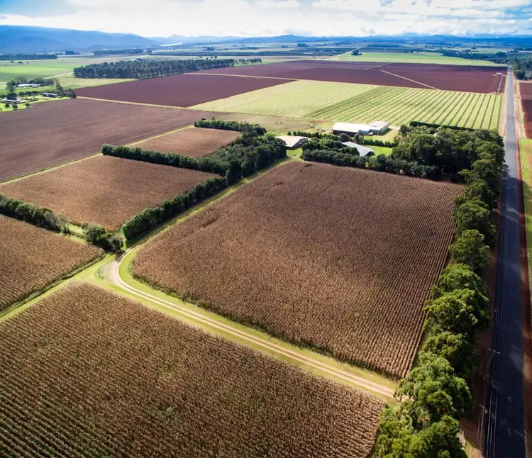 Sixth view of Homely rural property listing, 119 Beantree Road, Tolga QLD 4882