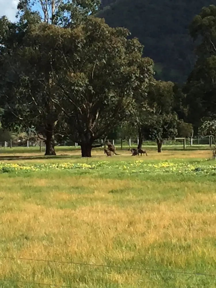 Third view of Homely land listing, 75 Fairburn Street, Dunkeld VIC 3294