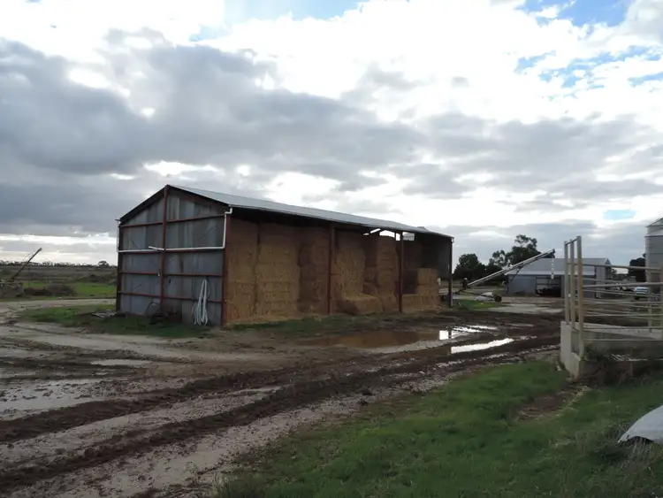 Fifth view of Homely rural property listing, 109 Pleasance Road, Tragowel VIC 3579