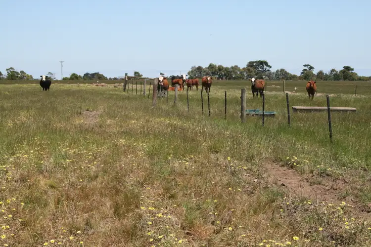 Fourth view of Homely land listing, LOT 1/903 Koroit - Woolsthorpe Road, Woolsthorpe VIC 3276