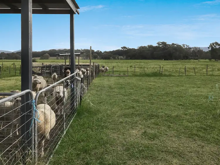 Sixth view of Homely land listing, 25 Pearce Lane, Swanpool VIC 3673