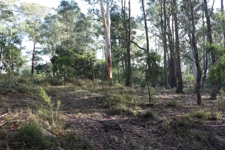 Second view of Homely land listing, 12 Cann Street, Blackwood VIC 3458