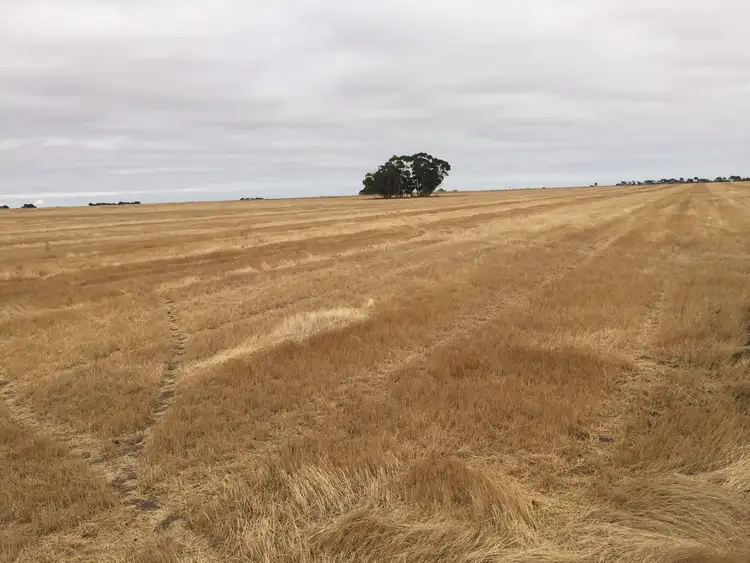 Second view of Homely rural property listing, Address available on request