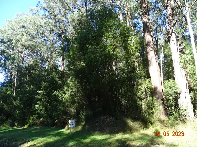 Third view of Homely land listing, 450 Morris Track, Lavers Hill VIC 3238