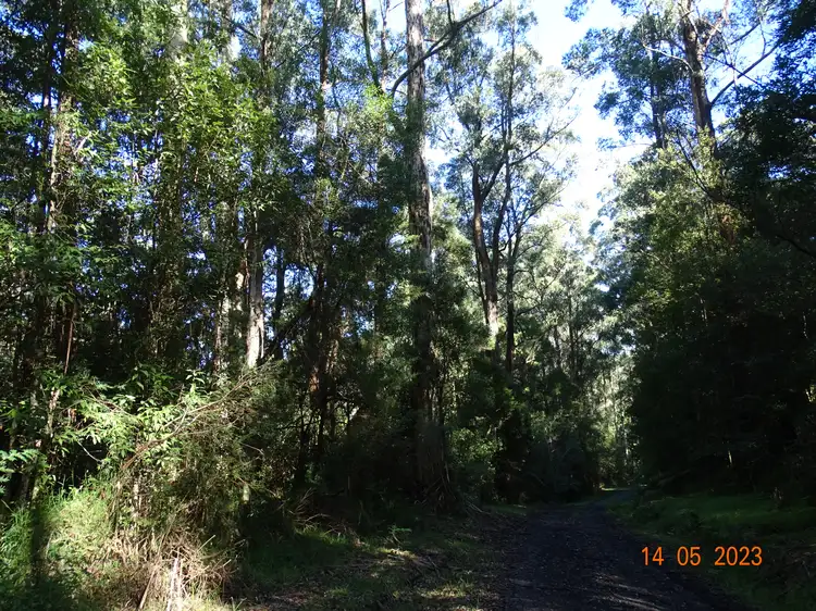Sixth view of Homely land listing, 450 Morris Track, Lavers Hill VIC 3238