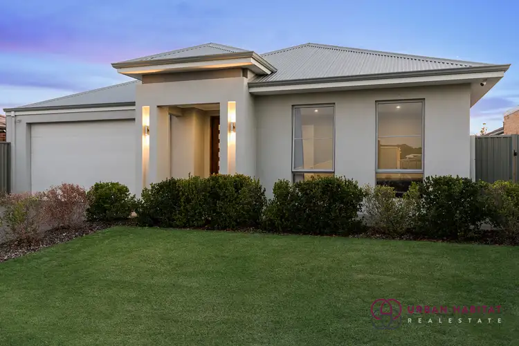 Main view of Homely house listing, 3 Mahoney Street, Success WA 6164