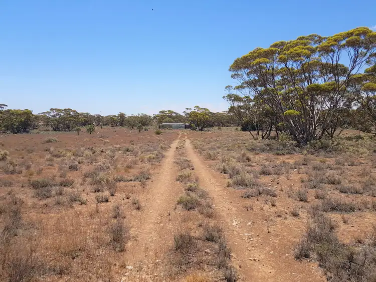Second view of Homely land listing, 769 SUNNYDALE ROAD, Sunnydale SA 5353