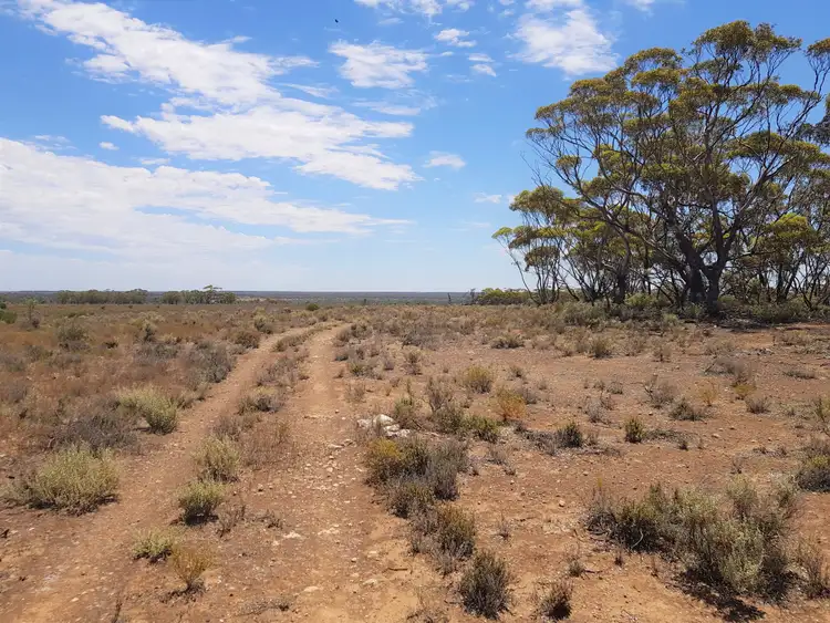 Sixth view of Homely land listing, 769 SUNNYDALE ROAD, Sunnydale SA 5353
