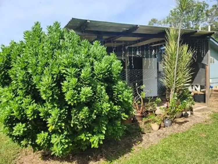 Seventh view of Homely rural property listing, 972 Woodstock Giru Road, Mount Surround QLD 4809