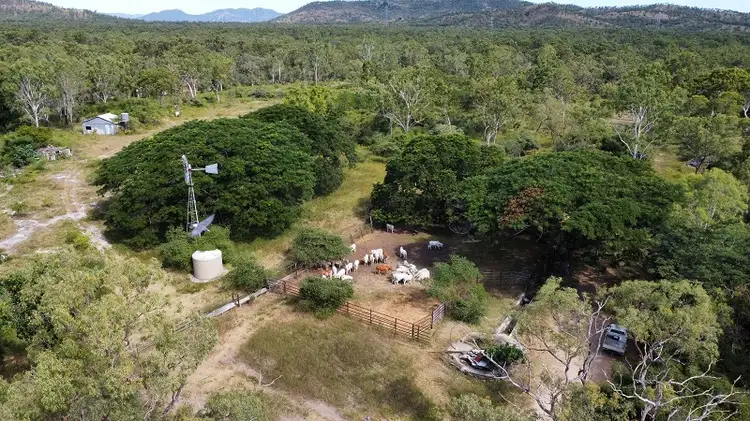 Main view of Homely rural property listing, 1198 Webb Road, Reid River QLD 4816