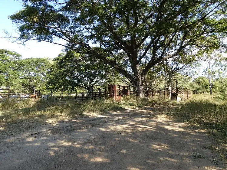 Third view of Homely rural property listing, 1198 Webb Road, Reid River QLD 4816