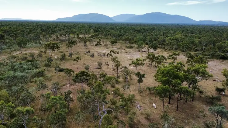 Sixth view of Homely rural property listing, 1198 Webb Road, Reid River QLD 4816