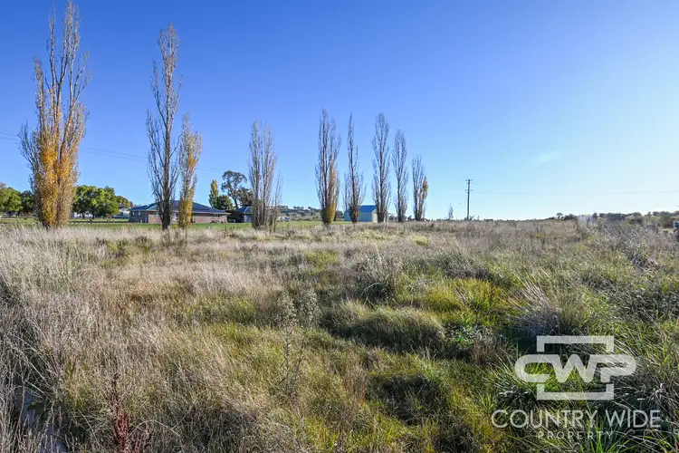 Third view of Homely land listing, 1001 Llangothlin Road, Guyra NSW 2365