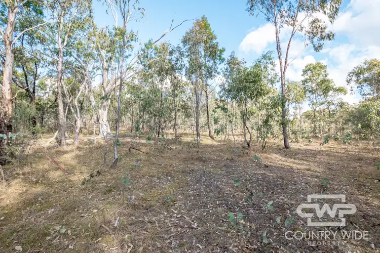 Second view of Homely rural property listing, 61 Catarrh Creek Road, Torrington NSW 2371