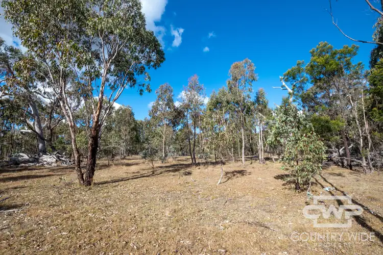 Third view of Homely rural property listing, 61 Catarrh Creek Road, Torrington NSW 2371