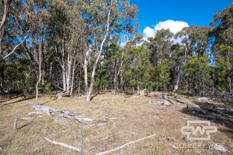 Fourth view of Homely rural property listing, 61 Catarrh Creek Road, Torrington NSW 2371