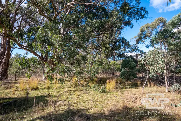 Fifth view of Homely rural property listing, 61 Catarrh Creek Road, Torrington NSW 2371
