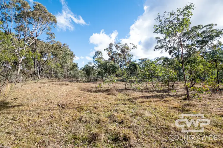 Sixth view of Homely rural property listing, 61 Catarrh Creek Road, Torrington NSW 2371