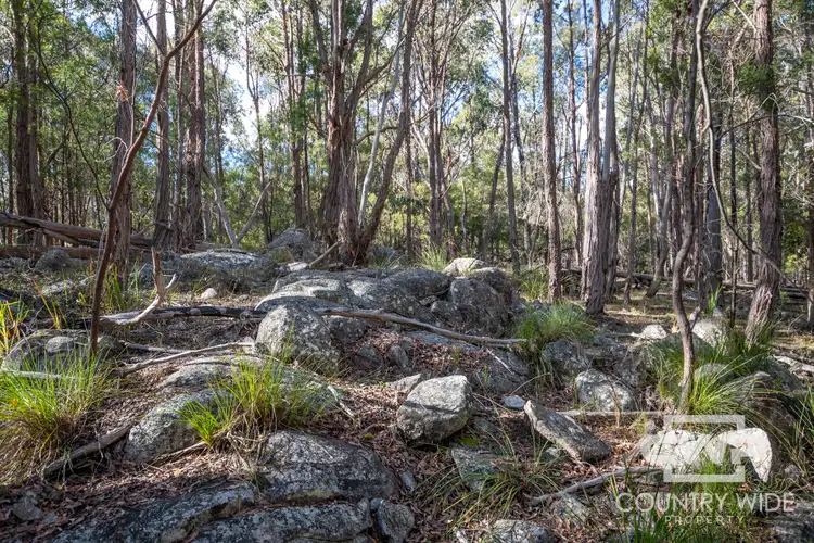 Seventh view of Homely rural property listing, 61 Catarrh Creek Road, Torrington NSW 2371