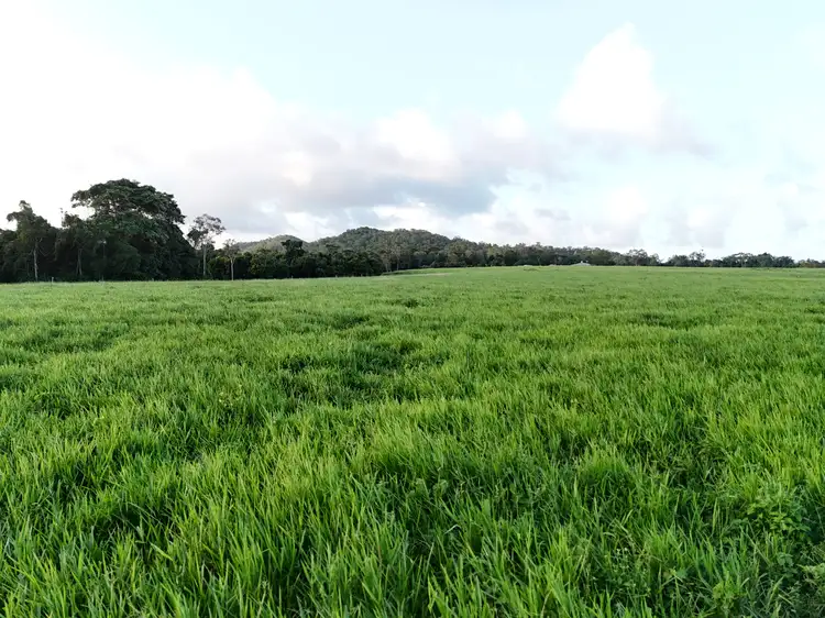 Fourth view of Homely rural property listing, 2583 Isabella McIvor Road, Cooktown QLD 4895