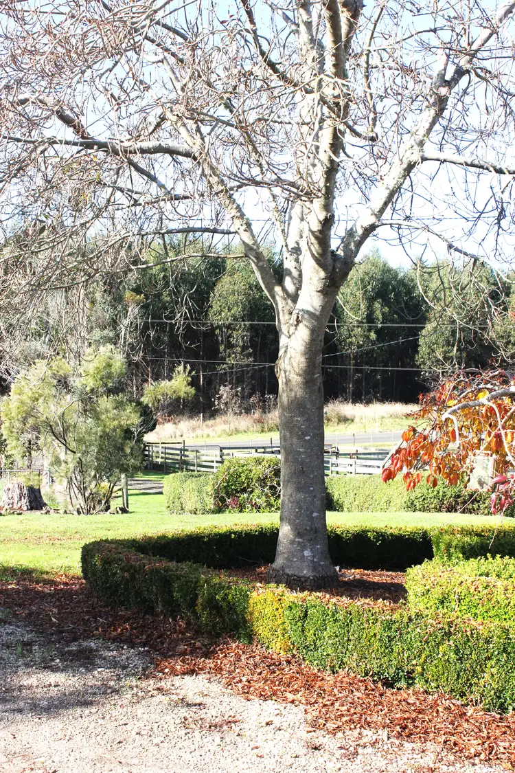 Second view of Homely rural property listing, 1548 Mount Hicks Road, Yolla TAS 7325