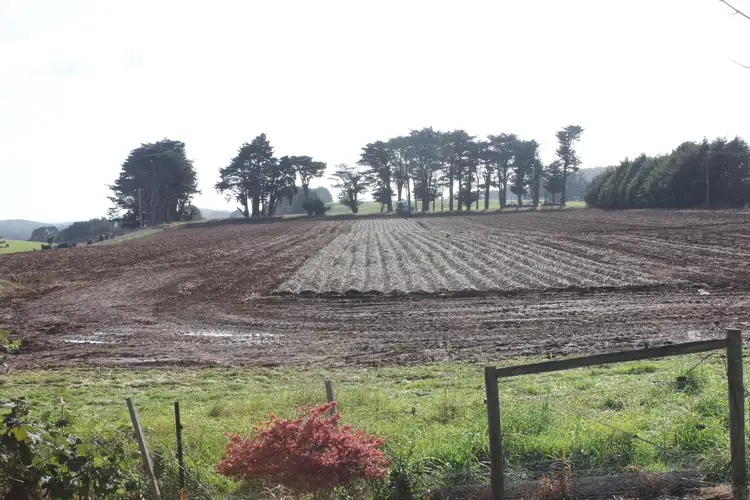 Third view of Homely rural property listing, 1548 Mount Hicks Road, Yolla TAS 7325