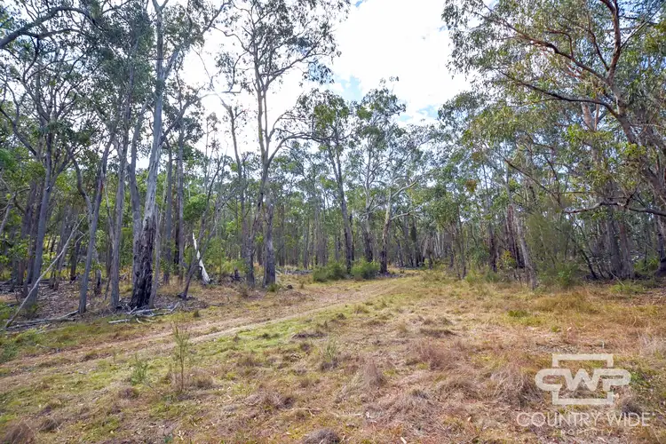 Second view of Homely rural property listing, LOT 47, 1527 New England highway, Dundee NSW 2370