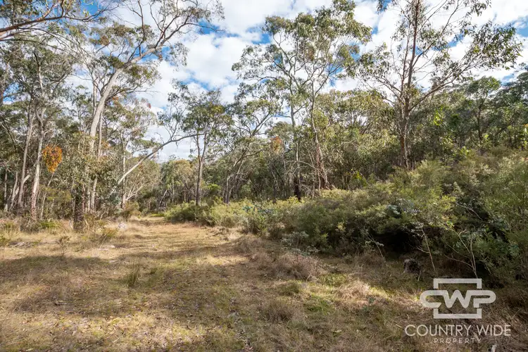 Fourth view of Homely rural property listing, LOT 47, 1527 New England highway, Dundee NSW 2370