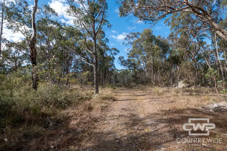 Seventh view of Homely rural property listing, LOT 47, 1527 New England highway, Dundee NSW 2370