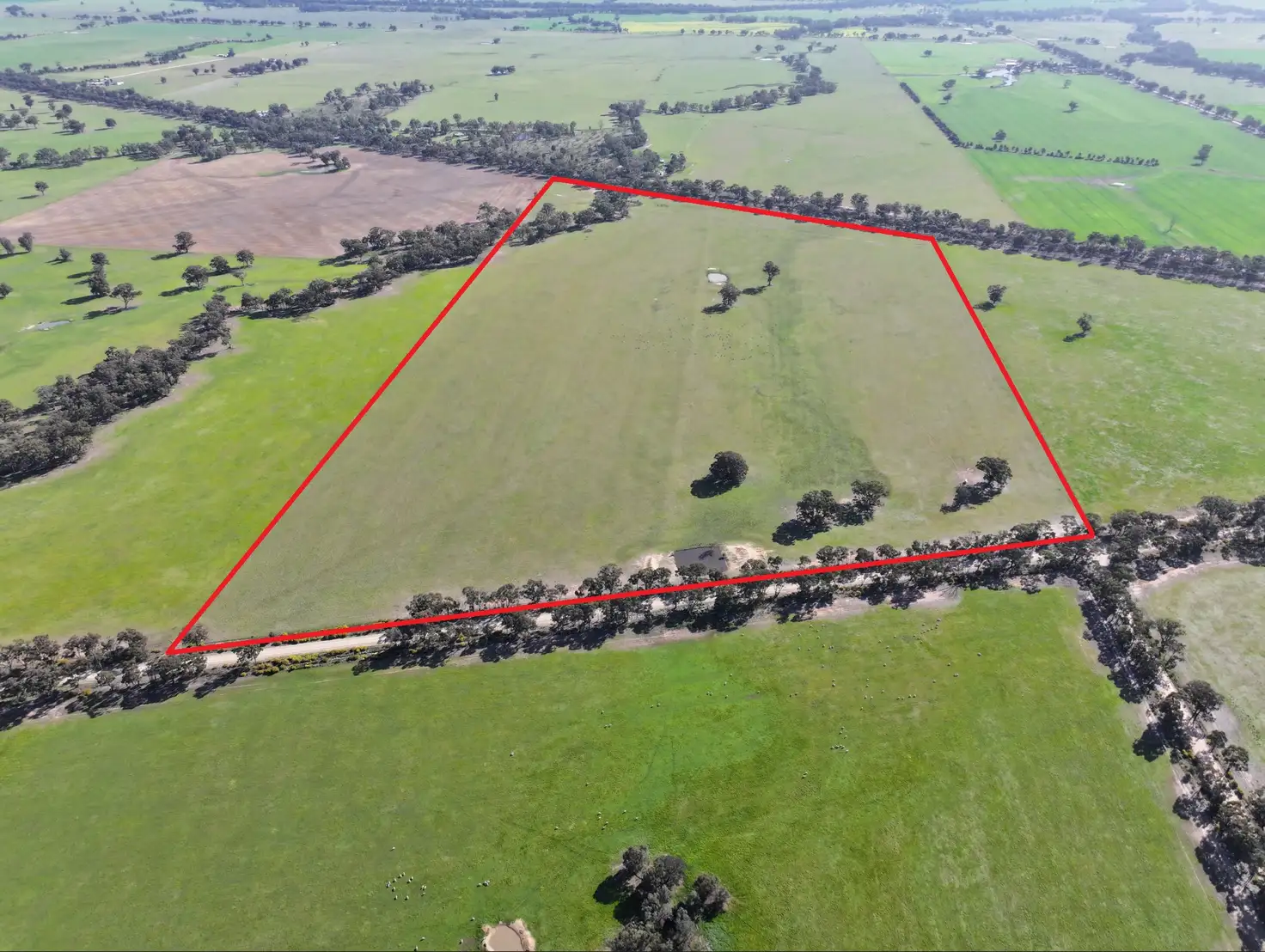 Main view of Homely rural property listing, -- Brenanah-Kurting Road, Kurting VIC 3517