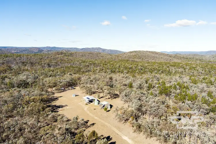 Main view of Homely rural property listing, 2317 Gulf Road, Emmaville NSW 2371