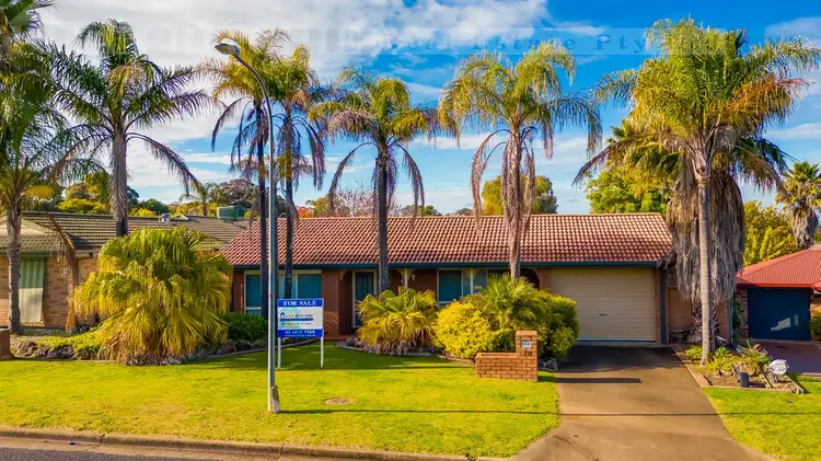 20 Darri Drive, Springdale Heights NSW 2641