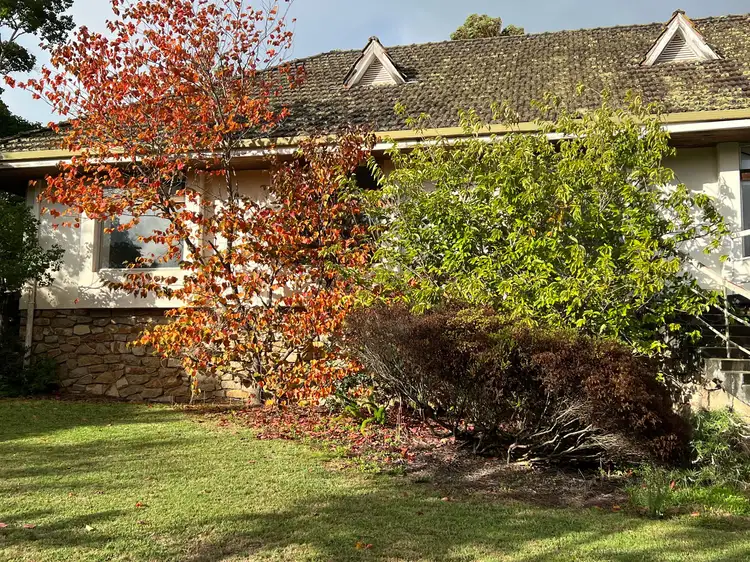 Fifth view of Homely rural property listing, 4672 South Coast Highway, Bow Bridge WA 6333