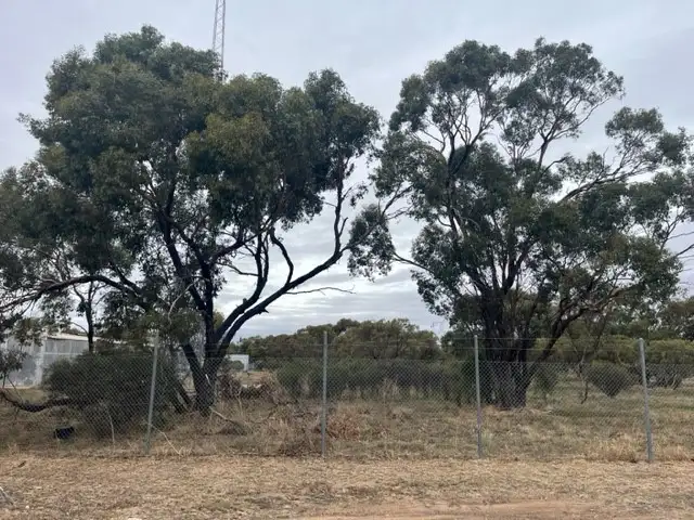Main view of Homely land listing, 11G Morrison Street, Birchip VIC 3483