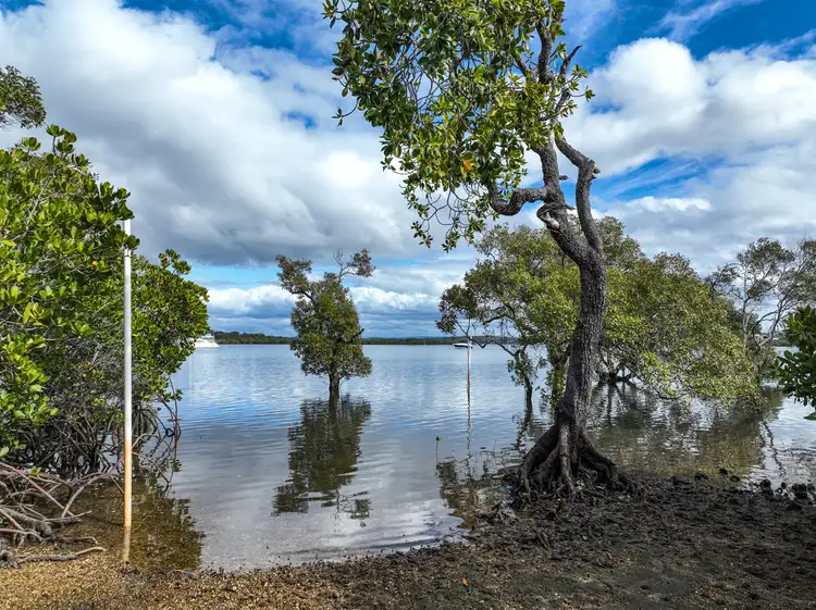 Fourth view of Homely house listing, 144 Canaipa Point Drive, Russell Island QLD 4184