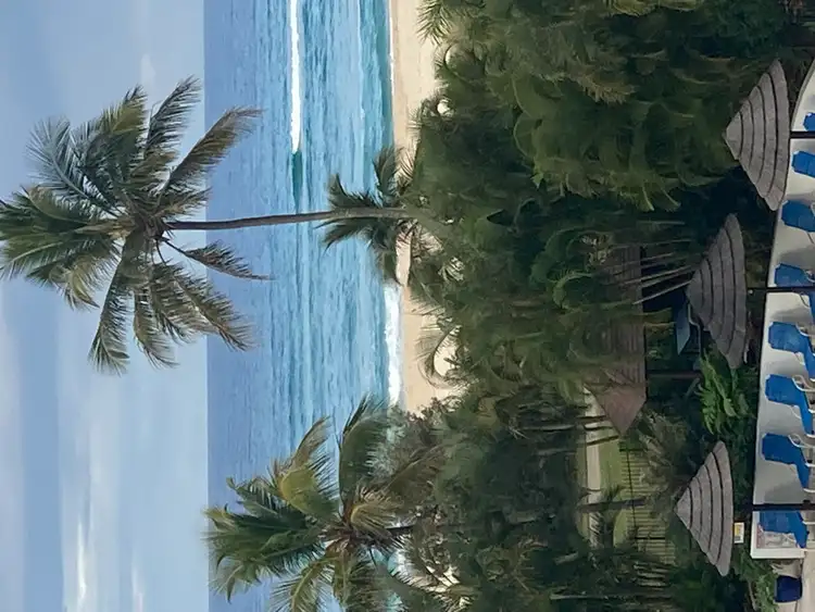 Second view of Homely unit listing, 3D/973 Gold Coast Highway, Palm Beach QLD 4221