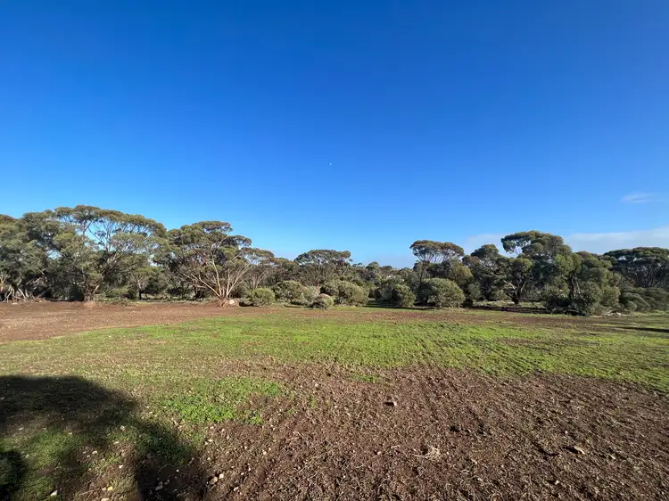 Fourth view of Homely rural property listing, 1009 Monarto Road, Monarto SA 5254