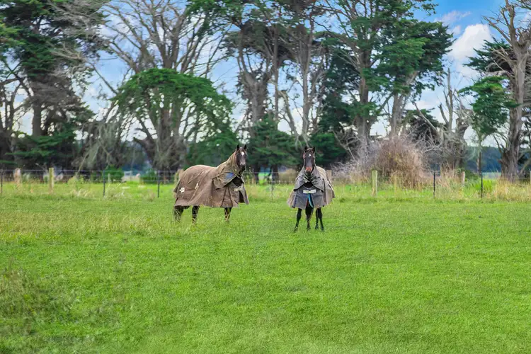 Seventh view of Homely land listing, CA13 Section A CA13 Section A Hopkins Highway, Purnim VIC 3278