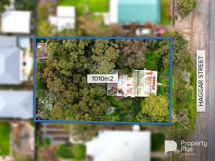 19 Haggar Street, Eaglehawk VIC 3556