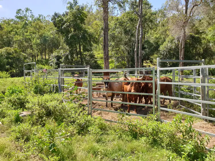 Main view of Homely rural property listing, LOT 15 Cedarvale Road, Boyne Valley QLD 4680