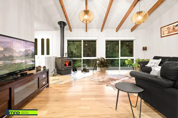 Second view of Homely rural property listing, 339 Macclesfield Road, Monbulk VIC 3793