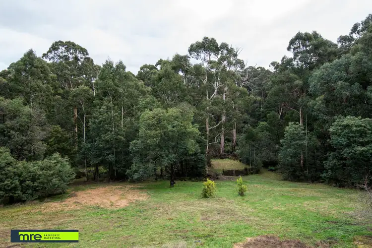 Sixth view of Homely rural property listing, 339 Macclesfield Road, Monbulk VIC 3793